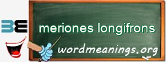 WordMeaning blackboard for meriones longifrons